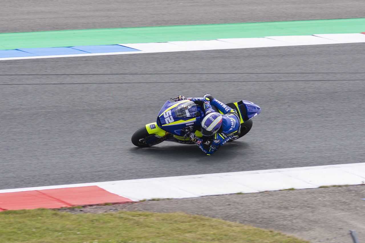 促进文化交 促进文化交